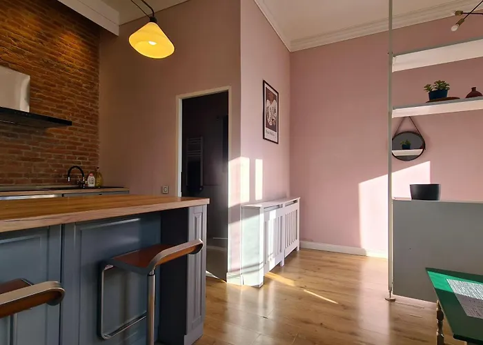 Appartement Republicii Brick Braşov