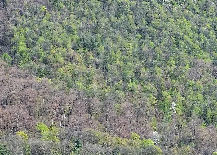 דירה Republicii Brick בראשוב